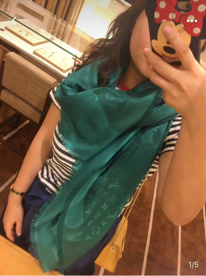 Louis Vuitton Scarf LV00112